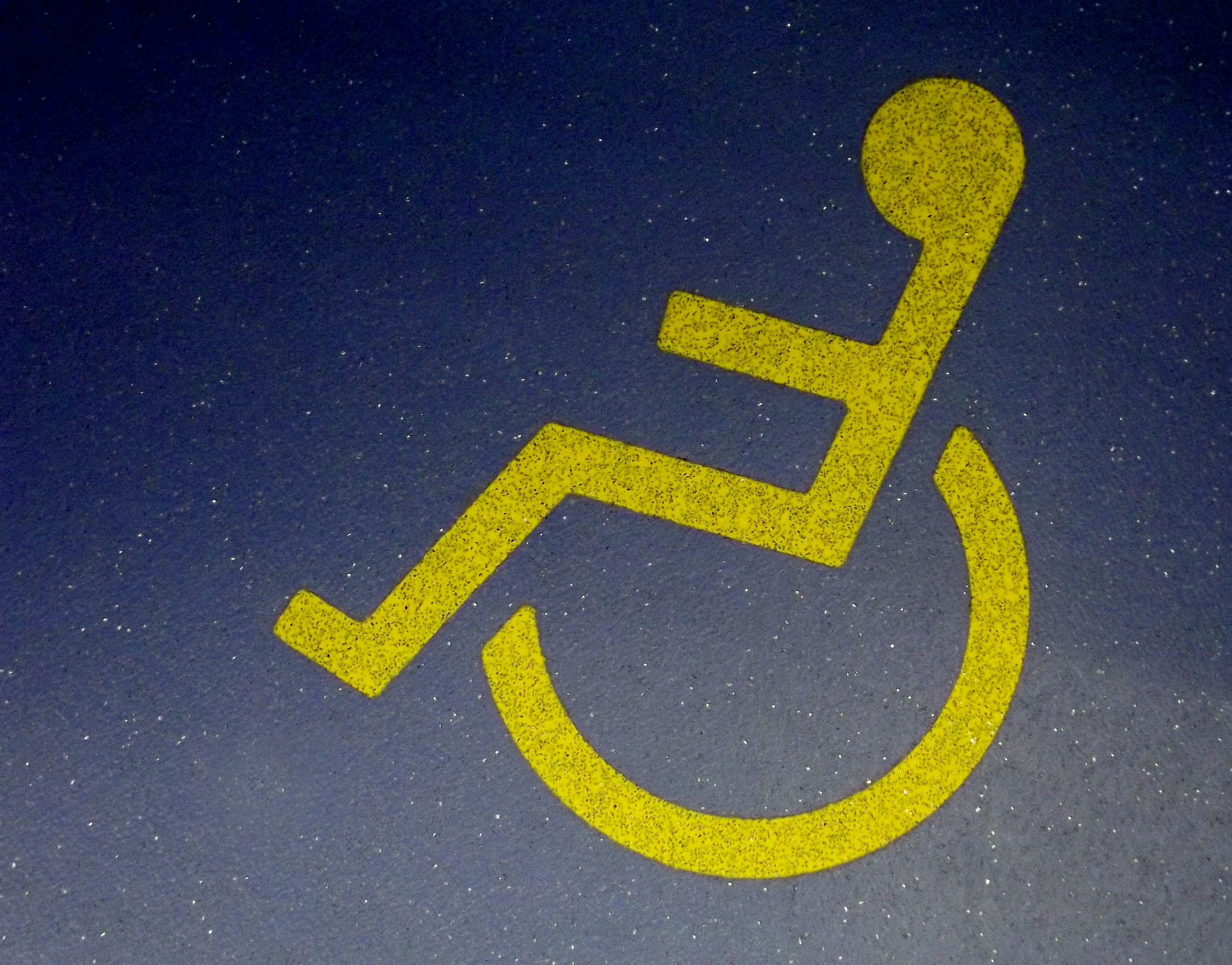 Disability icon